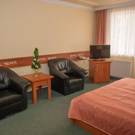 سيلفر Hajdúszoboszló