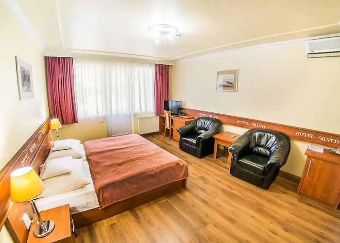 Silver Otel 4*