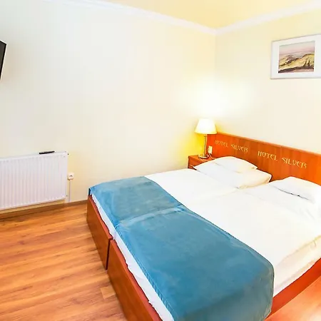 Silver Hotel 4*