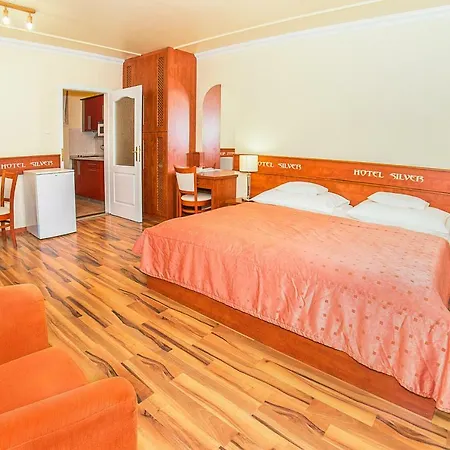 Hotel Silver 4*