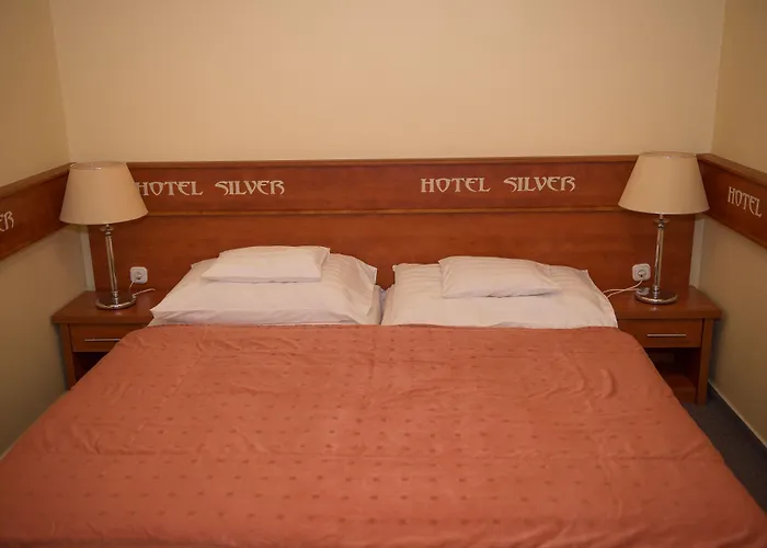 Отель Silver 4*