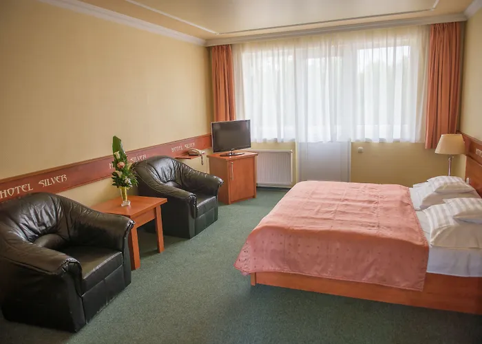 Silver Хайдусобосло