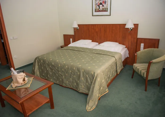 Silver Hotel Hajdúszoboszló